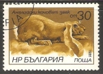 Stamps : Europe : Bulgaria :  conejo