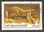 Stamps Bulgaria -  conejo