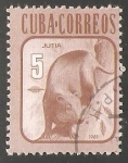 Sellos de America - Cuba -  Jutia
