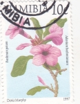 Stamps : Africa : Namibia :  F L O R E S