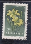 Stamps Hungary -  F L O R E S