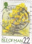 Stamps Europe - Isle of Man -  F L O R E S-ISLA DE MAN