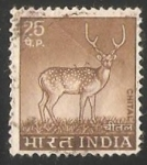 Stamps : Asia : India :  ciervo en la noche
