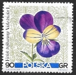 Sellos de Europa - Polonia -  1639 - Flor pensamiento 