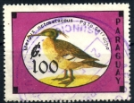 Stamps Paraguay -  PARAGUAY_SCOTT 2301 AVES EN PELIGRO EXTINCION, PATO SERRUCHO. $0,20