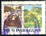 Sellos de America - Paraguay -  PARAGUAY_SCOTT C663 50º ANIV INMIGRACION JAPONESA A PARAGUAY. $0,20