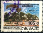 Sellos de America - Paraguay -  PARAGUAY_SCOTT C733.01 CENT FUNDACION COLONIA NUEVA GERMANIA, 1º CULTIVO YERBA MATE. $0,35