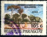 Stamps Paraguay -  PARAGUAY_SCOTT C733.02 CENT FUNDACION COLONIA NUEVA GERMANIA, 1º CULTIVO YERBA MATE. $0,35
