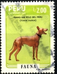 Sellos de America - Per� -  PERU_SCOTT 884.01 PERRO SIN PELO DEL PERU, FAUNA. $1,00