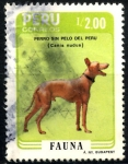 Stamps : America : Peru :  PERU_SCOTT 884.02 PERRO SIN PELO DEL PERU, FAUNA. $1,00