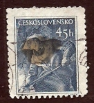Stamps : Europe : Czechoslovakia :  OBRERO MINERO