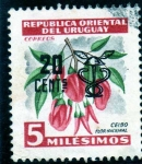 Stamps America - Uruguay -  CEIBO FLOR NACIONAL