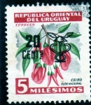Sellos de America - Uruguay -  CEIBO FLOR NACIONAL