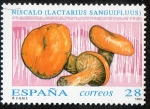 Stamps Spain -  3247 -Micología. Lactarius sanguifluus.
