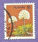 Stamps Australia -  INTERCAMBIO