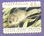 Stamps : Oceania : Australia :  CAMBIADO DM