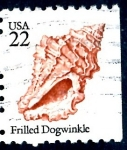 Stamps United States -  USA_SCOTT 2117.02 FRILLED DOGWINKLE. $0,2