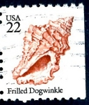Sellos de America - Estados Unidos -  USA_SCOTT 2117.02 FRILLED DOGWINKLE. $0,2