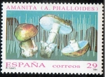 Stamps Spain -  3281- Micología. Amanita.