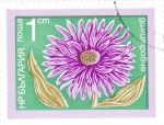 Stamps Bulgaria -  F L O R E S