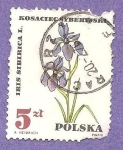 Stamps Poland -  INTERCAMBIO