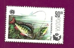 Stamps Poland -  Peces - Perca - Asociación Polaca de Pesca PZW