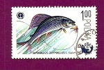 Stamps Poland -  Peces - Tímalo Thymallus - Asociación Polaca de Pesca PZW
