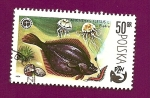 Stamps Poland -  Peces -Platija Platichthys - Asociación Polaca de Pesca PZW