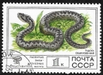 Sellos de Europa - Rusia -  4438 - Serpiente