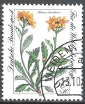 Stamps Germany -  Por el bienestar,Krainer hierba cana, Senecio carniolicus.
