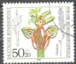 Stamps Germany -  Por el bienestar,Orquídea Orchis: anthropophora.