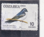Stamps Costa Rica -  AVES DE COSTA RICA