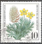 Stamps Germany -  Por el bienestar,la cabeza del cuerno, Ceratocephala falcata.