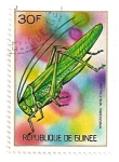 Stamps : Africa : Guinea :  Insectos. Cigarra.