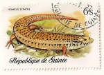 Stamps : Africa : Guinea :  Reptiles y serpientes. Scincus Scincus.