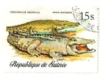 Stamps : Africa : Guinea :  Reptiles y serpientes. Cocodrilo.