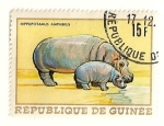 Stamps Guinea -  Animales africanos. Hipopotamo.