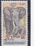 Stamps Czechoslovakia -  E L E F A N T E S