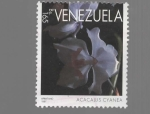 Sellos de America - Venezuela -  FLOR