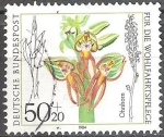 Stamps Germany -  Por el bienestar,Orquídea Orchis: anthropophora.