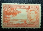 Sellos de Europa - Reino Unido -  Islas Caimán 1938