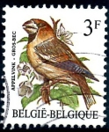 Stamps : Europe : Belgium :  BELGICA_SCOTT 1219.01 GROS BEC. $0,2