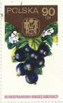 Stamps Poland -  XIX CONGRESO HORTÍCOLA INTERNACIONAL. GROSELLA NEGRA. YVERT PL 2169