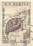 Stamps : Europe : Romania :  FAUNA RUMANA. TORTUGA MORA, Testudo graeca. YVERT RO 1671