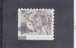 Stamps United States -  C E R V I D O 