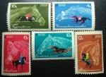 Stamps Russia -  1968 Soviet Horse-Breeding