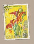 Stamps Equatorial Guinea -  Proteccion de la Naturaleza - Flora de America del Norte