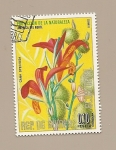 Sellos del Mundo : Africa : Equatorial_Guinea : Proteccion de la Naturaleza - Flora de America del Norte