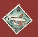 Stamps Mongolia -  Peces - Esturión del Caspio