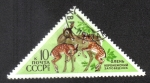 Stamps Russia -  Animales de Reservas Naturales